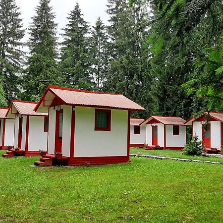 Casute Valea Zanelor Hotel Covasna Exterior photo