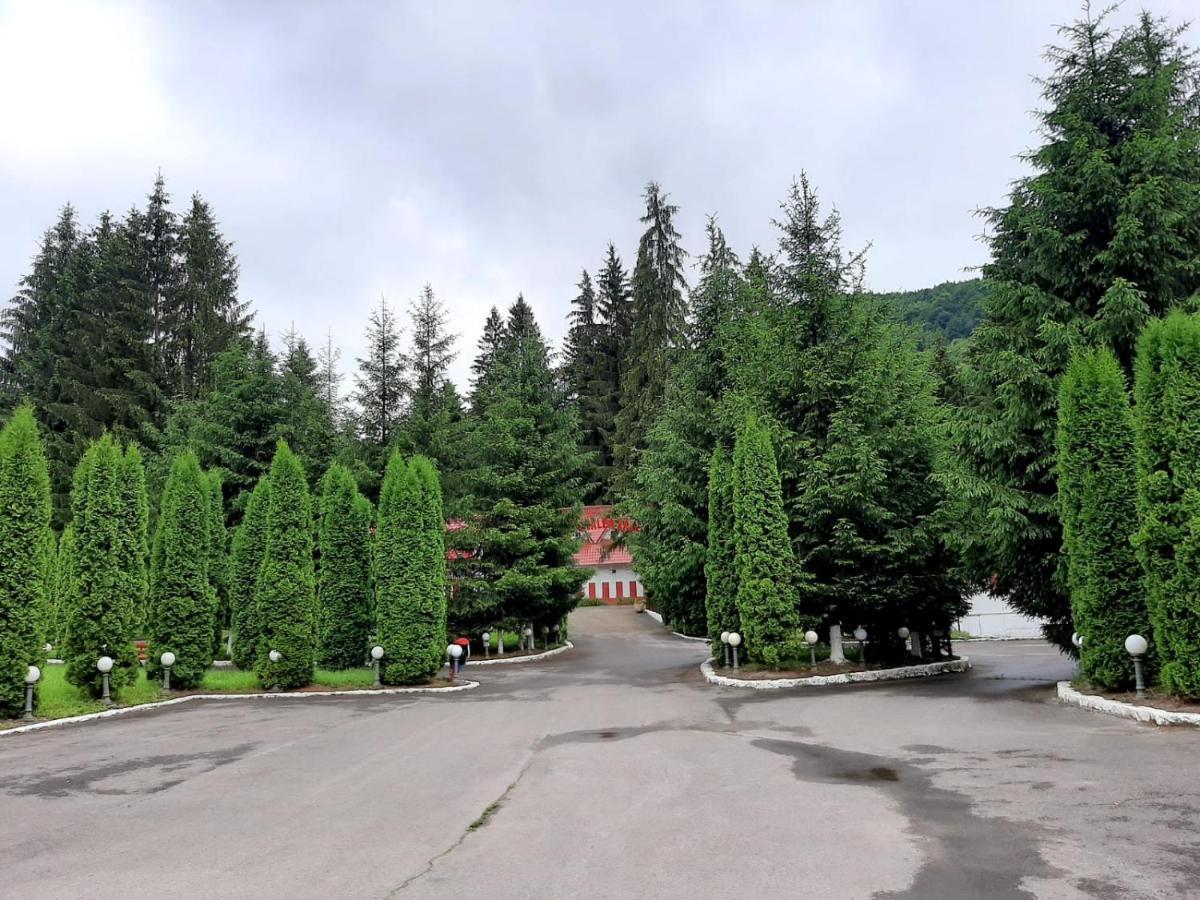 Casute Valea Zanelor Hotel Covasna Exterior photo
